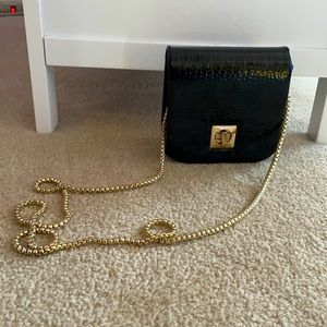 LIKE NEW La Regale Crossbody Mini Purse